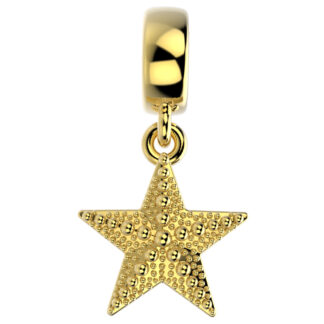 PINGENTE BERLOQUE 22472 FOLH. OURO