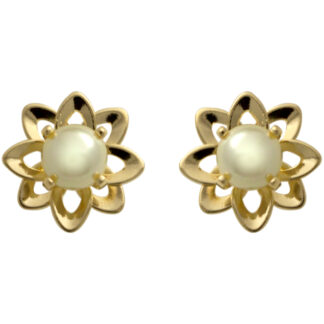 BRINCO ESTAMPADO 38130 FOLH. OURO